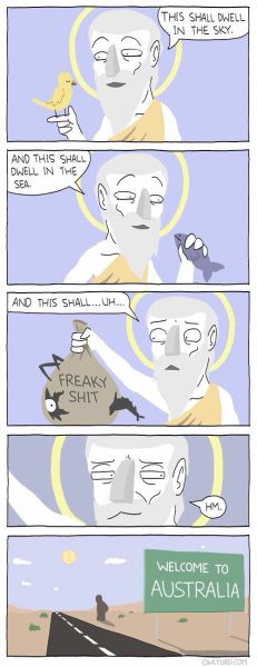 page,5,top 450 funny pics of the year 2015.html - 1 HD Photos | Premium Gallery 2015