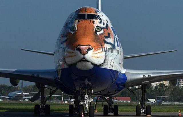 page,60,top 1500 daily pics of the year 2015.html - 1 HD Photos | Premium Gallery 2015