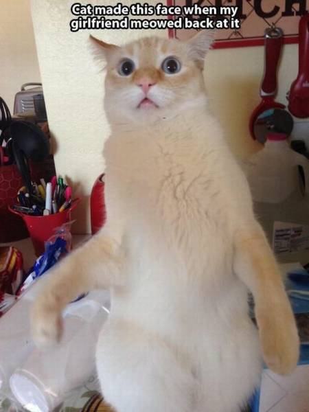 page,20,top 1500 daily pics of the year 2015.html - 1 HD Photos | Premium Gallery 2015