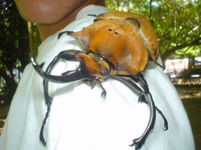 Morning Picdump