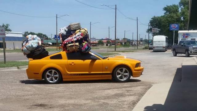 Morning Picdump
