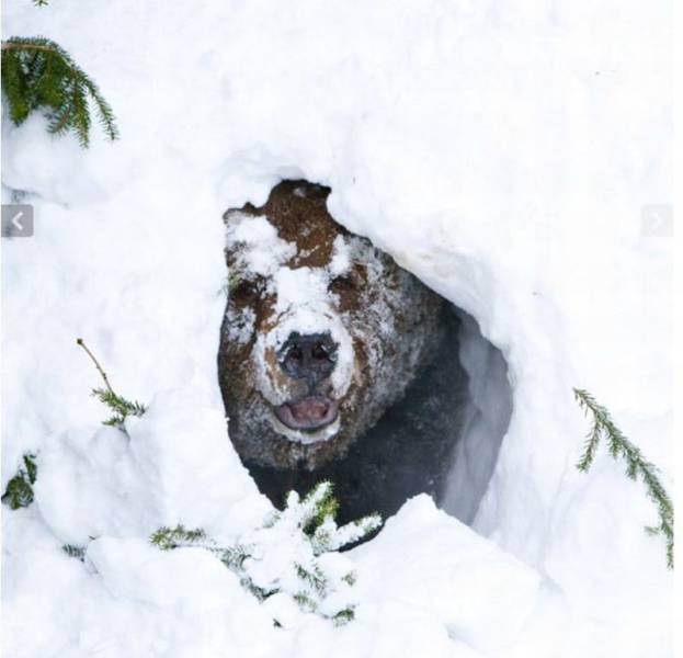 page,15,top 1500 daily pics of the year 2015.html - 1 HD Photos | Premium Gallery 2015