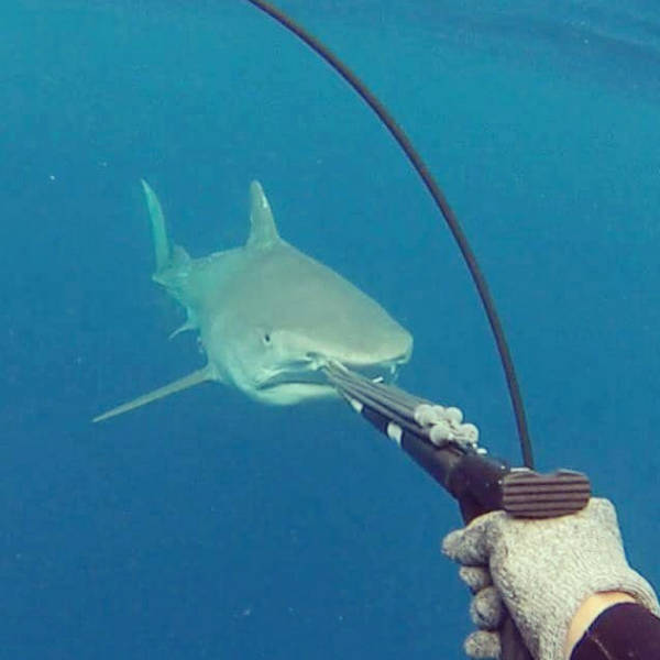 The Hottest Spear-Fisherwoman in the World