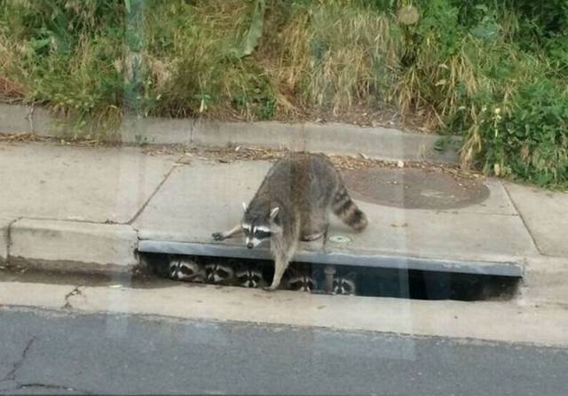 page,51,top 1500 daily pics of the year 2015.html - 1 HD Photos | Premium Gallery 2015