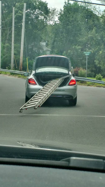 Morning Picdump
