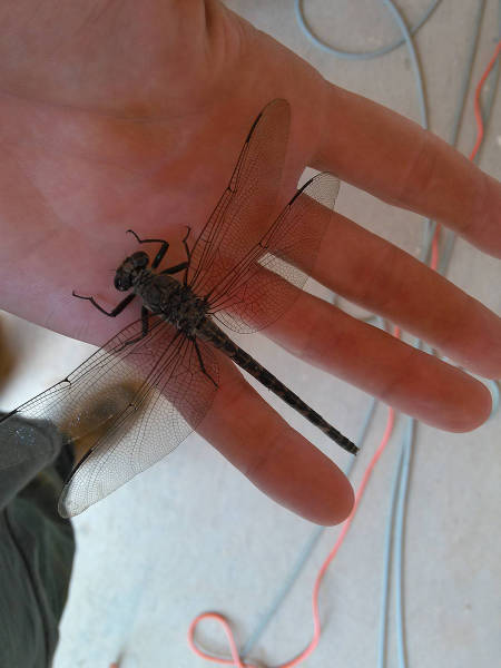 morning picdump 54 pics 15.html - 54 HD Photos | Premium Gallery 2015