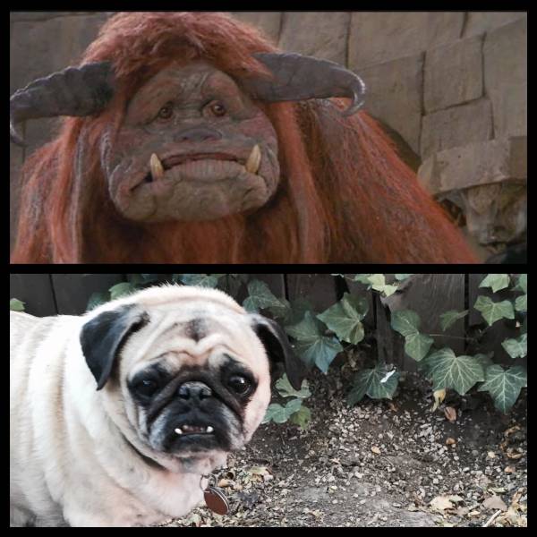 morning picdump 54 pics 15.html - 54 HD Photos | Premium Gallery 2015