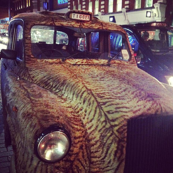 morning picdump 54 pics 15.html - 54 HD Photos | Premium Gallery 2015