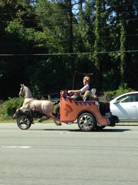 morning picdump 54 pics 15.html - 54 HD Photos | Premium Gallery 2015