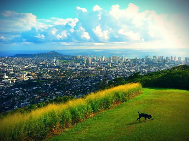 morning picdump 54 pics 15.html - 54 HD Photos | Premium Gallery 2015