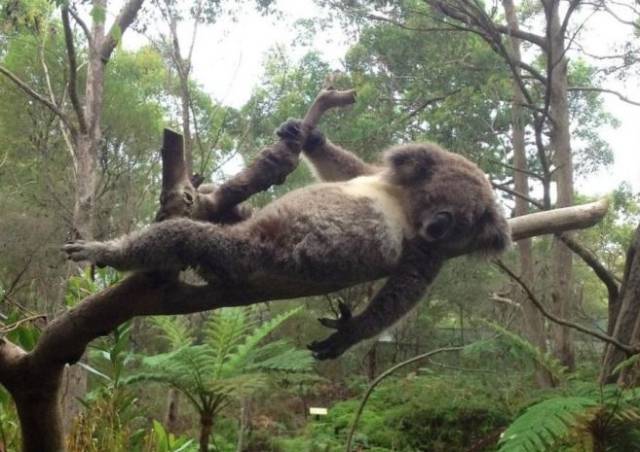 morning picdump 54 pics 15.html - 54 HD Photos | Premium Gallery 2015