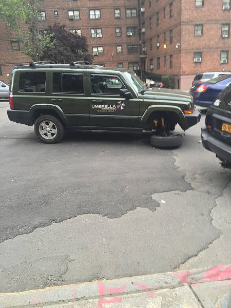 morning picdump 54 pics 15.html - 54 HD Photos | Premium Gallery 2015