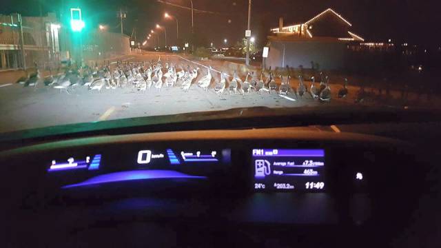 morning picdump 54 pics 15.html - 54 HD Photos | Premium Gallery 2015