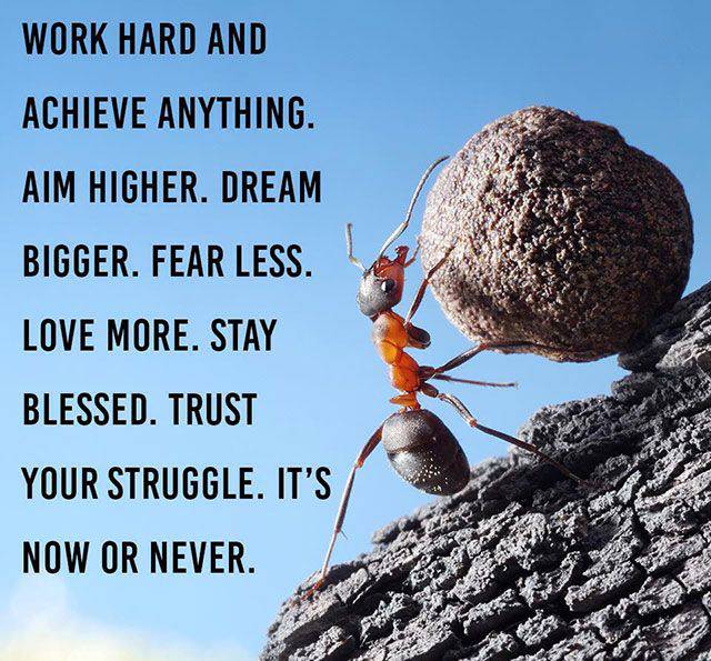 Quotes to Inspire and Motivate You Today