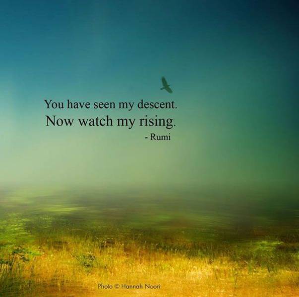 Quotes to Inspire and Motivate You Today