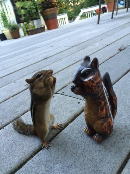 daily picdump 100 pics 42.html - 100 HD Photos | Premium Gallery 2015