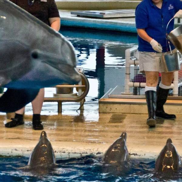 daily picdump 100 pics 42.html - 100 HD Photos | Premium Gallery 2015