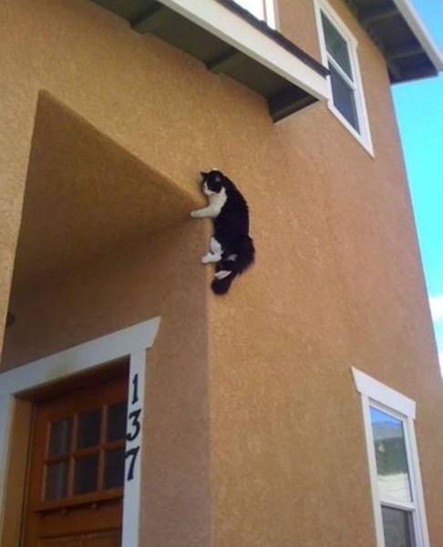 daily picdump 100 pics 42.html - 100 HD Photos | Premium Gallery 2015