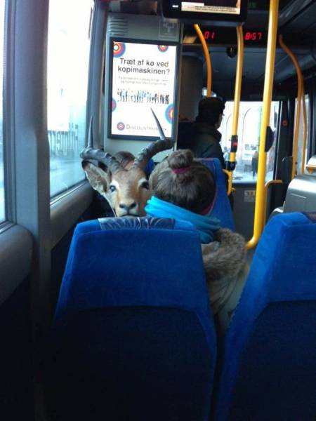 daily picdump 100 pics 42.html - 100 HD Photos | Premium Gallery 2015