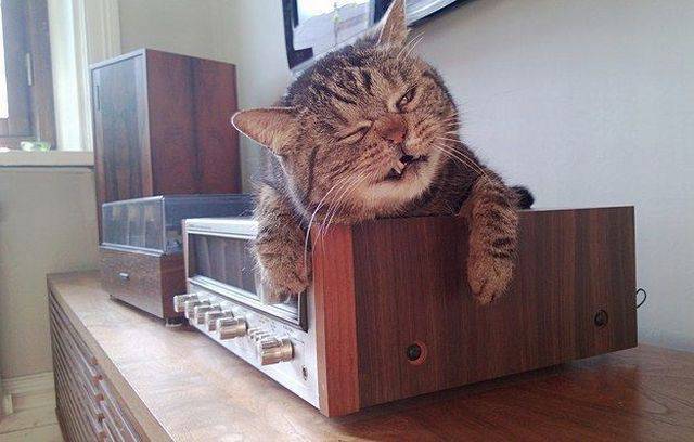 daily picdump 100 pics 42.html - 100 HD Photos | Premium Gallery 2015