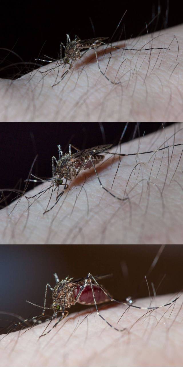 daily picdump 100 pics 42.html - 100 HD Photos | Premium Gallery 2015