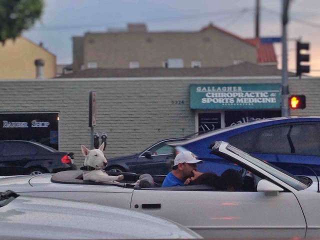 morning picdump 55 pics 14.html - 55 HD Photos | Premium Gallery 2015