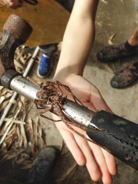 morning picdump 55 pics 14.html - 55 HD Photos | Premium Gallery 2015