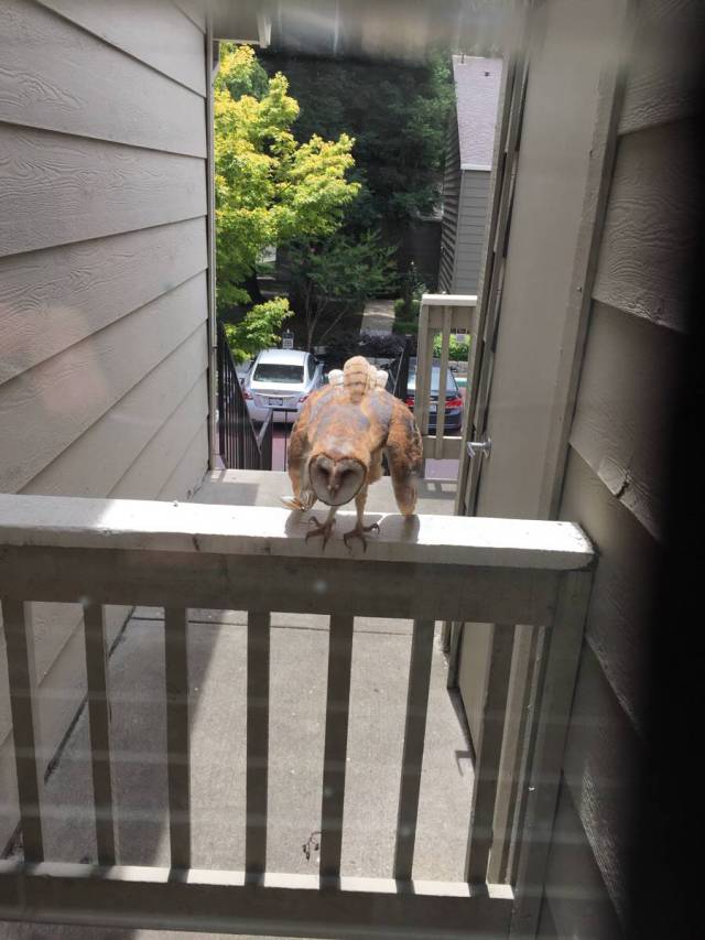 morning picdump 55 pics 14.html - 55 HD Photos | Premium Gallery 2015