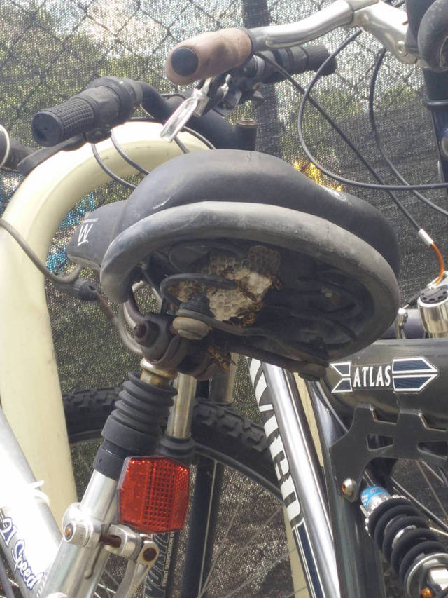 morning picdump 55 pics 14.html - 55 HD Photos | Premium Gallery 2015