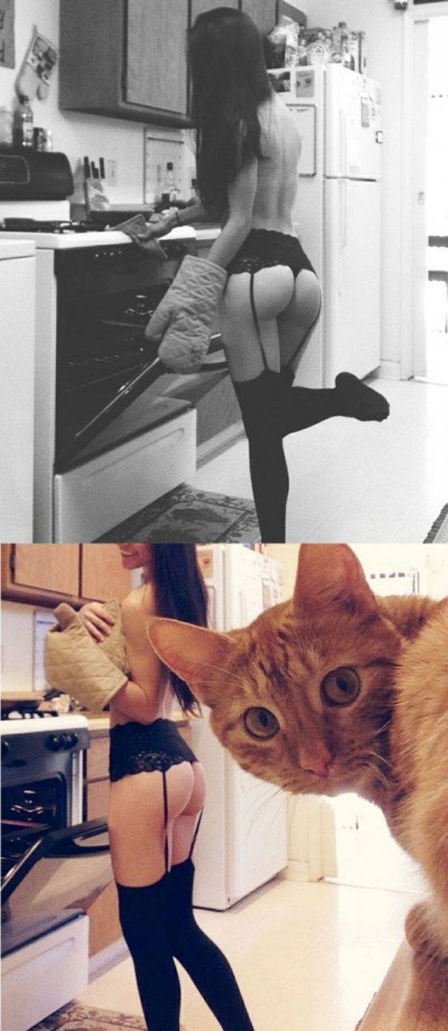 grownup corner 59 pics 10 gifs 20.html - 59 HD GIF | Premium Gallery 2015