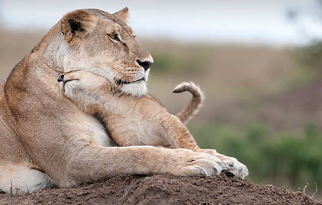 morning picdump 54 pics 5.html - 54 HD Photos | Premium Gallery 2015