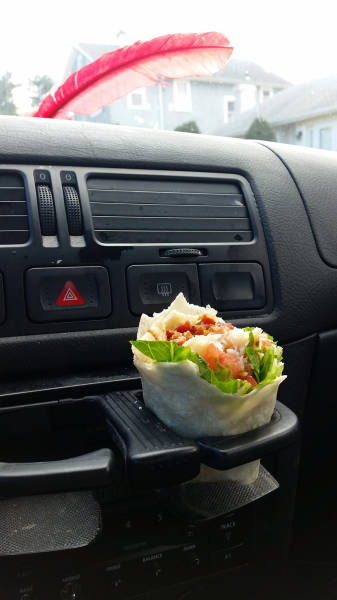 morning picdump 54 pics 5.html - 54 HD Photos | Premium Gallery 2015