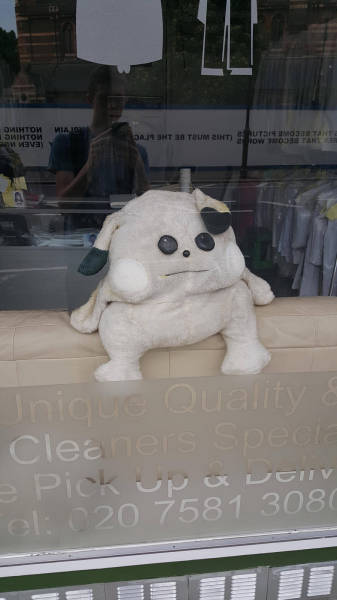 morning picdump 54 pics 5.html - 54 HD Photos | Premium Gallery 2015