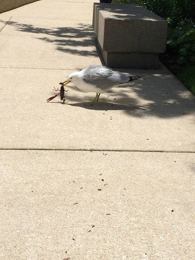 morning picdump 54 pics 5.html - 54 HD Photos | Premium Gallery 2015