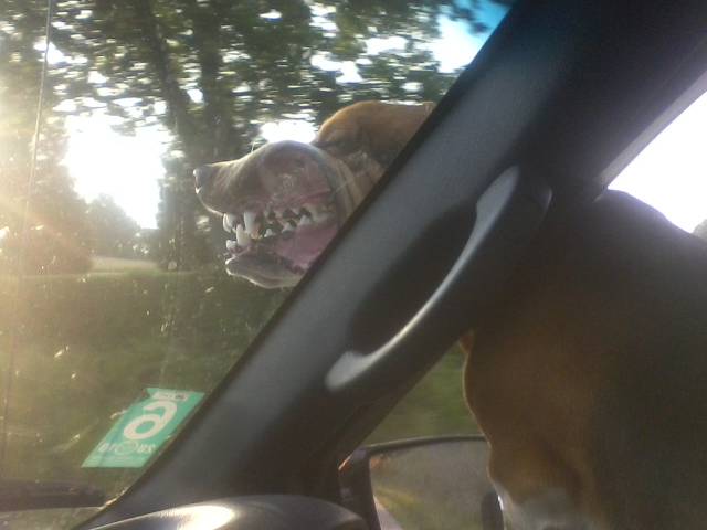 morning picdump 53 pics 7.html - 53 HD Photos | Premium Gallery 2015