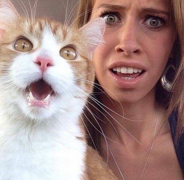 page,51,top 1500 daily pics of the year 2015.html - 1 HD Photos | Premium Gallery 2015