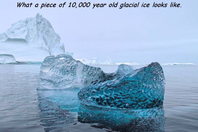 page,51,top 1500 daily pics of the year 2015.html - 1 HD Photos | Premium Gallery 2015