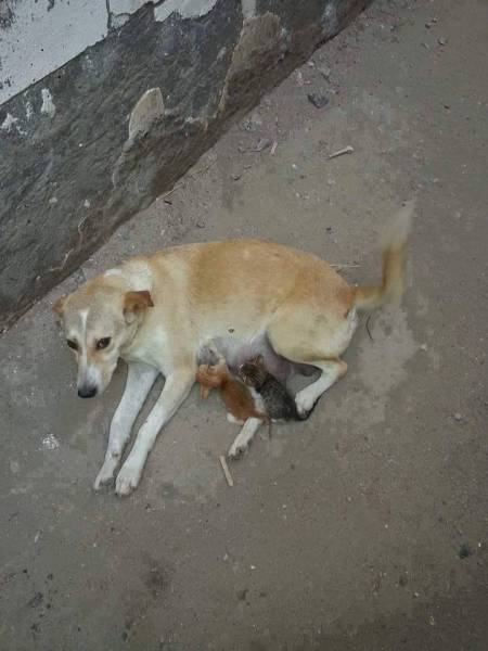 page,51,top 1500 daily pics of the year 2015.html - 1 HD Photos | Premium Gallery 2015