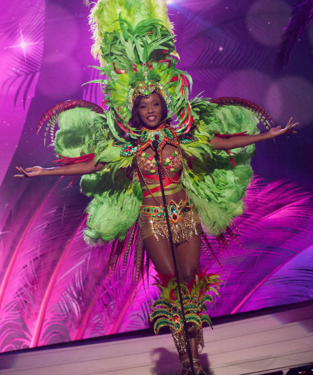 Culturally Diverse Costumes at the Miss Universe 2015 Pageant