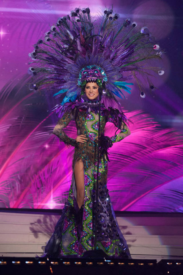 Culturally Diverse Costumes at the Miss Universe 2015 Pageant