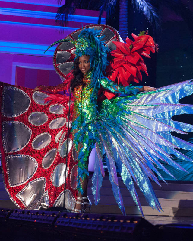Culturally Diverse Costumes at the Miss Universe 2015 Pageant