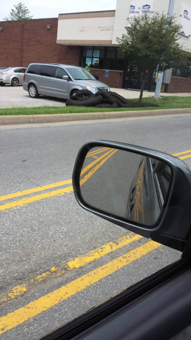 morning picdump 55 pics 7.html - 55 HD Photos | Premium Gallery 2015