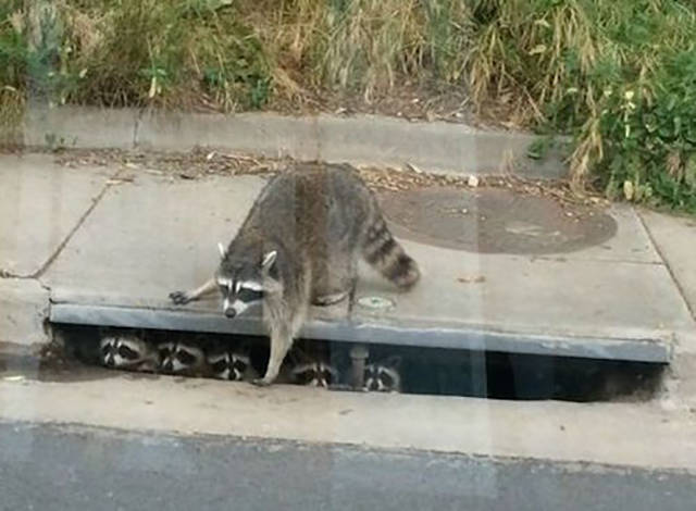 morning picdump 55 pics 24.html - 55 HD Photos | Premium Gallery 2015