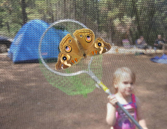 morning picdump 55 pics 24.html - 55 HD Photos | Premium Gallery 2015