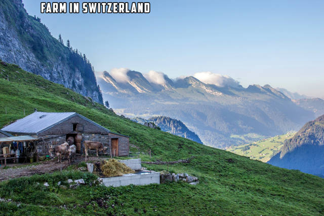 morning picdump 55 pics 24.html - 55 HD Photos | Premium Gallery 2015