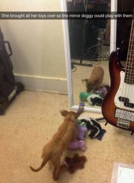 page,51,top 1500 daily pics of the year 2015.html - 1 HD Photos | Premium Gallery 2015