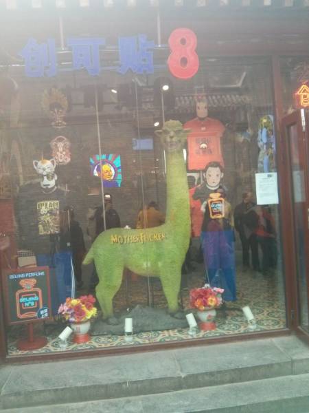 daily picdump 95 pics 12.html - 95 HD Photos | Premium Gallery 2015