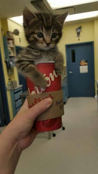 daily picdump 95 pics 12.html - 95 HD Photos | Premium Gallery 2015