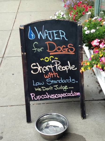 daily picdump 95 pics 12.html - 95 HD Photos | Premium Gallery 2015