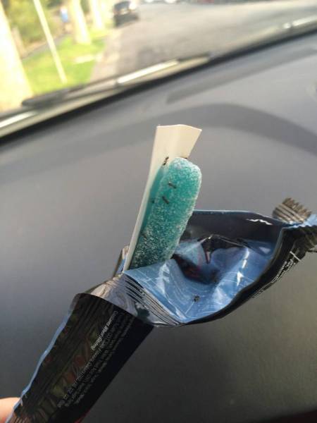 daily picdump 95 pics 12.html - 95 HD Photos | Premium Gallery 2015